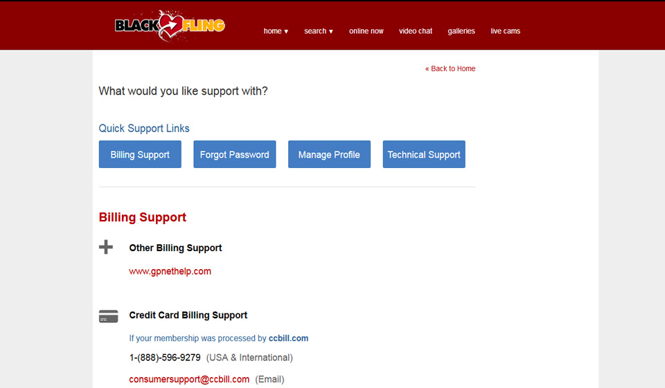 BlackFling Review – Where Hot Black People Come to Have Fun