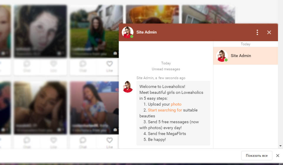 Loveaholics: How User-Friendly the Interface Is?