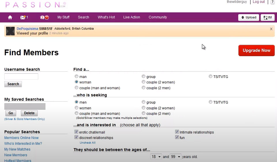 Hvordan er nettstedets design?