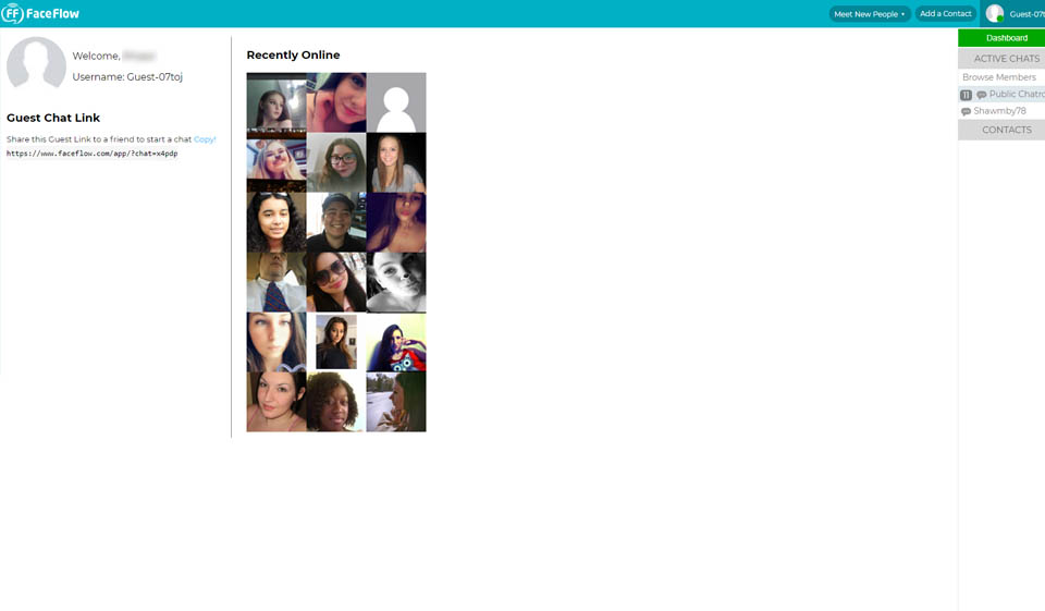 FaceFlow-anmeldelse – bør du bruke denne nettsiden?