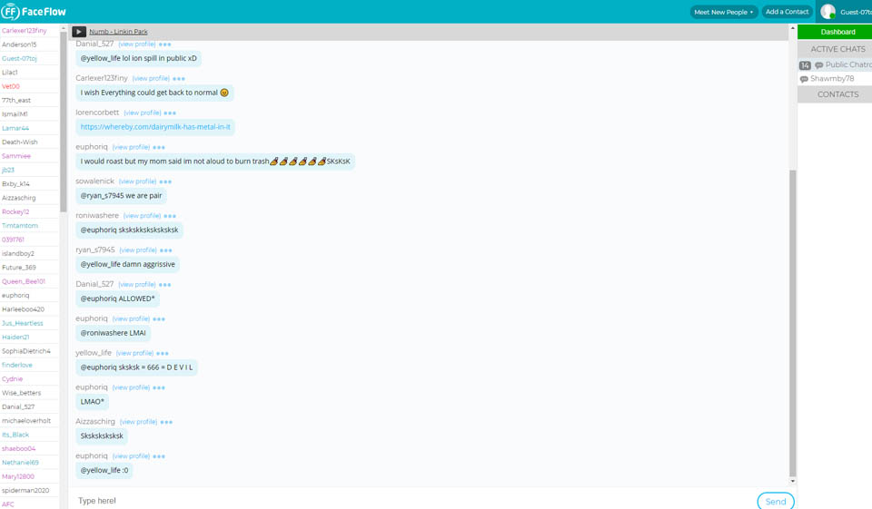 FaceFlow-anmeldelse – bør du bruke denne nettsiden?