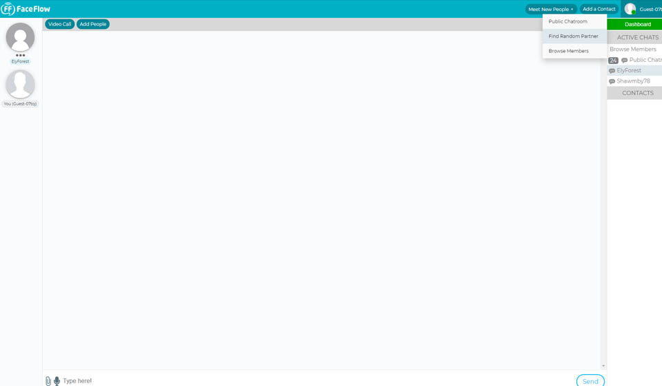 FaceFlow-anmeldelse – bør du bruke denne nettsiden?