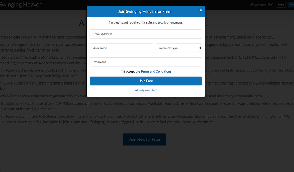 Swinging Heaven: Hva tilbyr denne nettsiden til nettdatere?