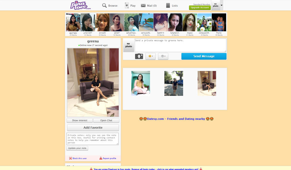 Εφαρμογή PinaLove για κινητά