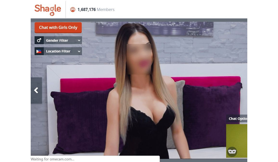 Shagle User Friendliness