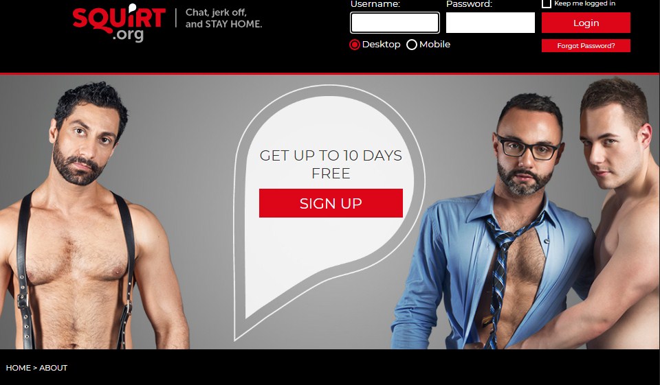 The Sign-Up Process & User Profile