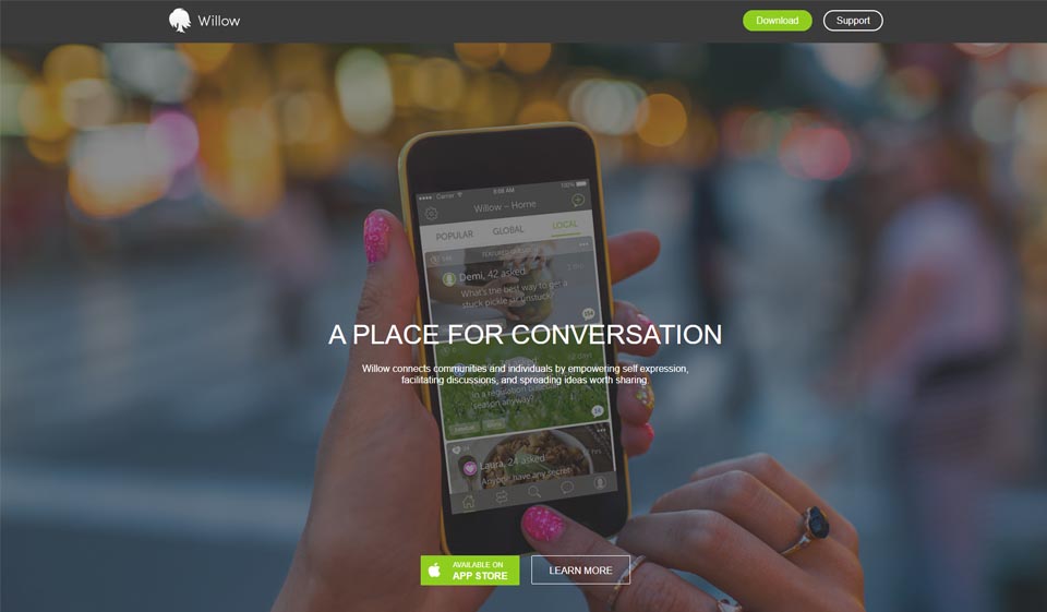 Willow Review 2025  — Real Dating Site or Scam?