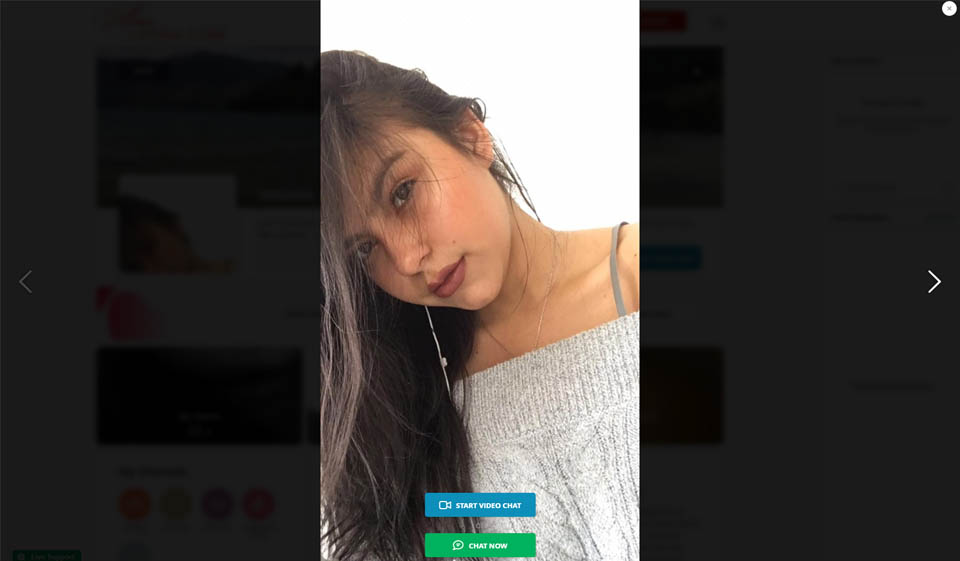 AmoLatina How Is The User-Friendliness