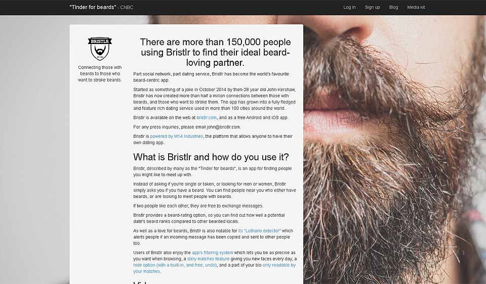 Hvordan er profilkvaliteten og bekreftelsesprosessen på Bristlr?