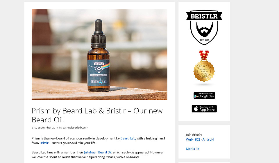 Hvor god er Bristlr kundestøtte?