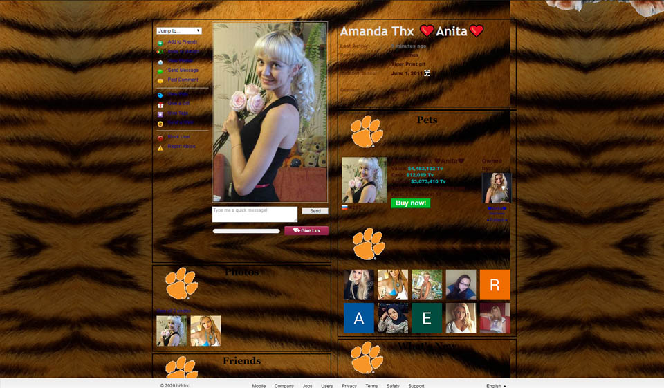 The Hi5 Sign-Up Process & User Profile