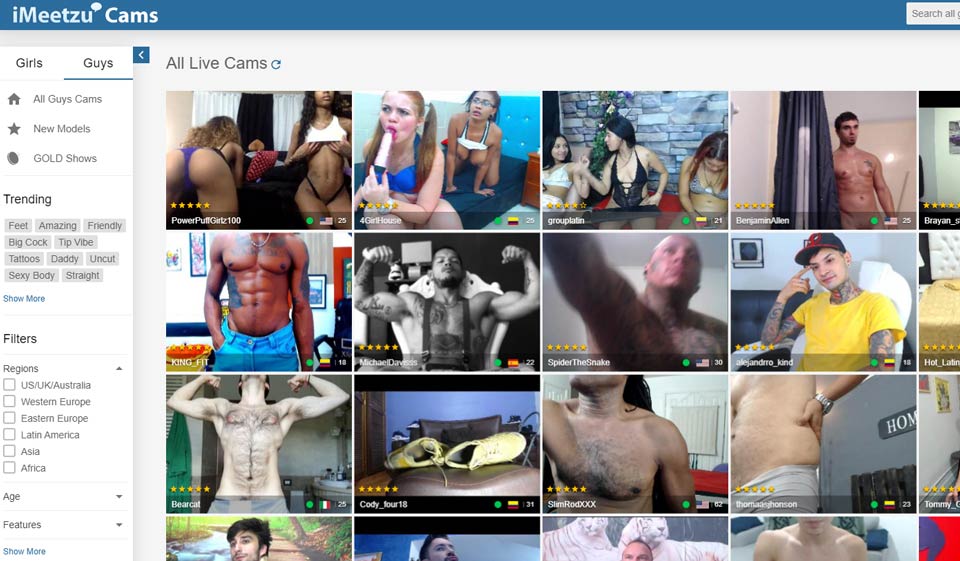 iMeetzu-registreringsprosess og brukerprofil