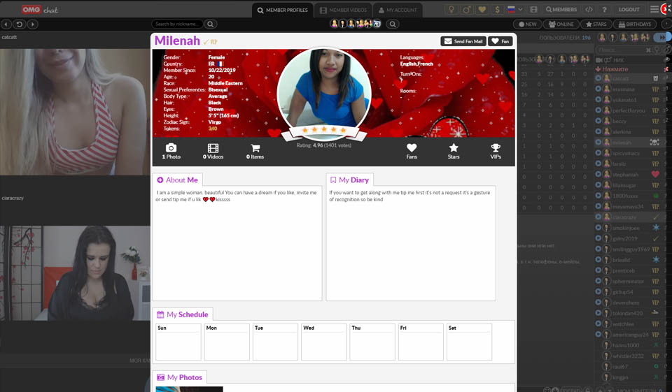 Způsob, jakým funguje OMGChat
