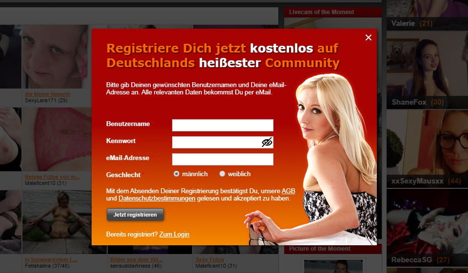 AmateurCommunity im Test