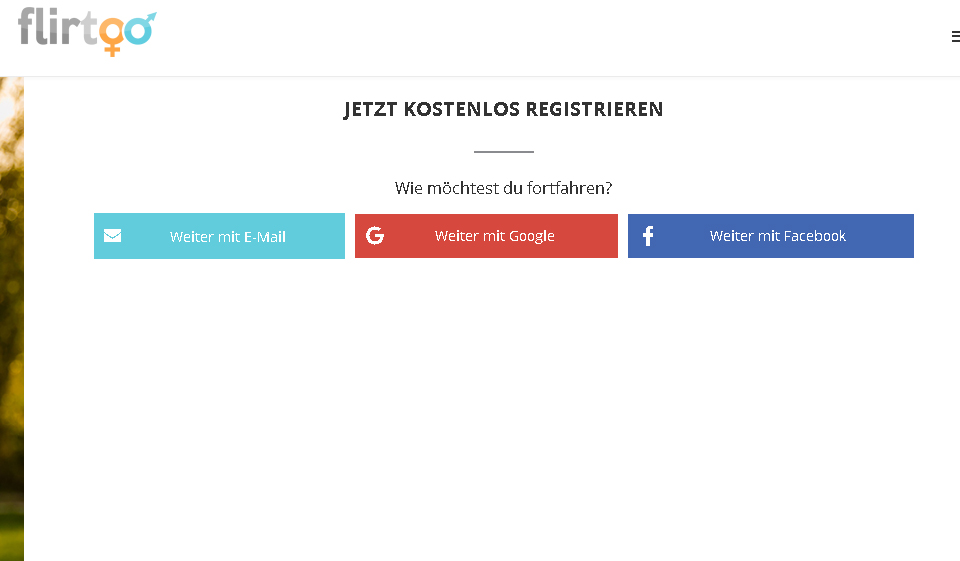 Flirtoo im Test