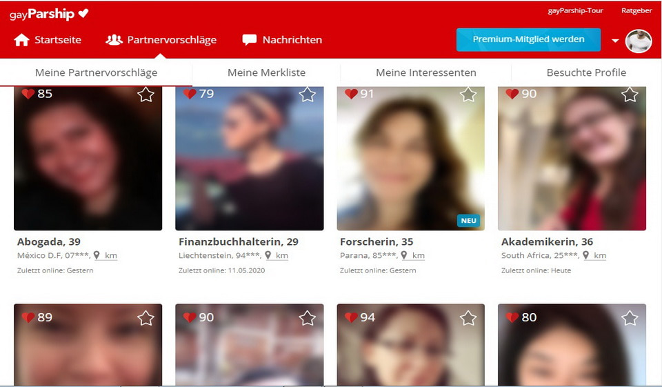GayParship im Test
