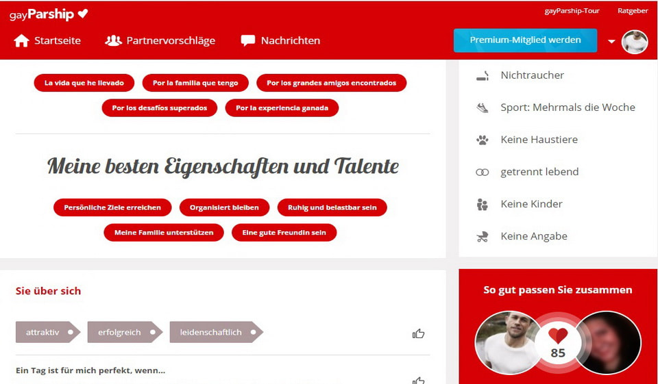 GayParship im Test
