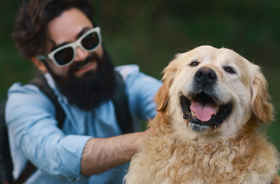 Haustier-Dating Seiten