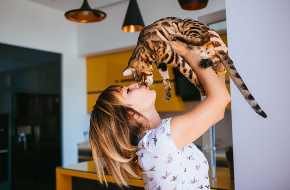 Haustier-Dating Seiten