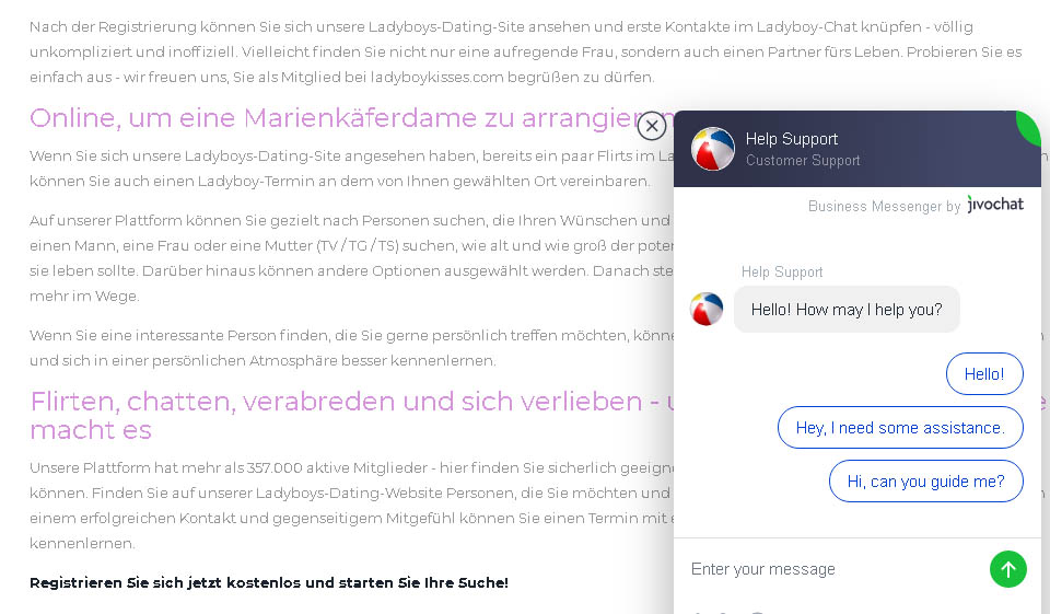 Ladyboykisses im Test