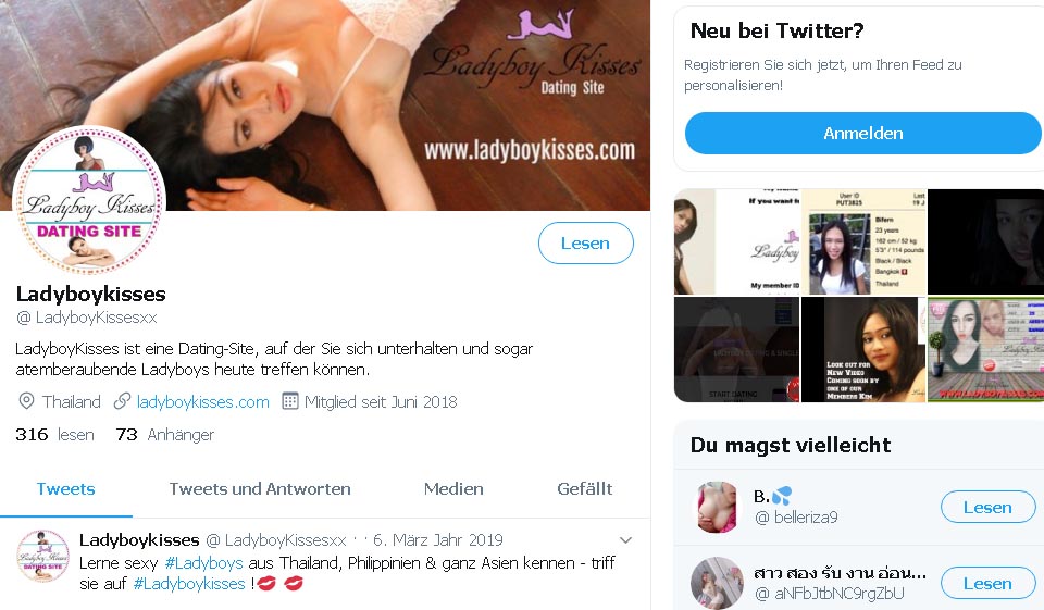 Ladyboykisses im Test